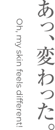 サブタイトル