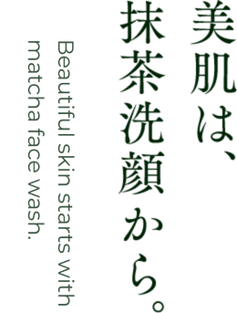 サブタイトル